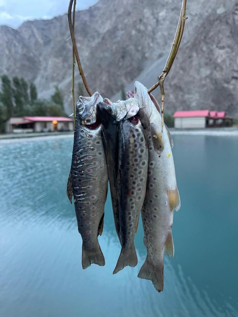 Dream Nest Resorts 스카르두 외부 사진